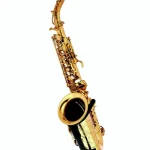 Test, Avis : Forestone RX Gold Lacquered Alto Sax