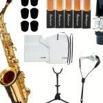 Avis et Test : Startone SAS-75 Alto Sax Set