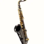 Saxophone Thomann TTS-180 Black Tenor Saxophone : Test, Comparatif, Avis