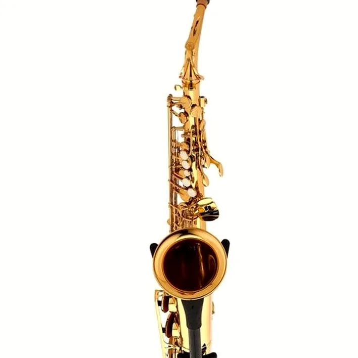 Test et Avis saxophone Yamaha YAS-280 Alto Sax Set II