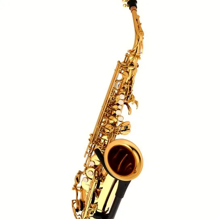 Test et Avis saxophone Yamaha YAS-280 Alto Sax Set II