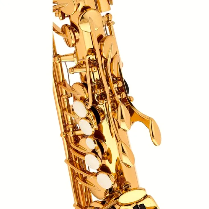 Test et Avis saxophone Yamaha YAS-280 Alto Sax Set II