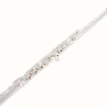 La flûte traversière Pearl Flutes Dolce PF-695 RE : Test, Comparatif & Avis