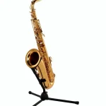 Le saxophone Forestone GX Gold Lacquered Tenor Sax , Comparatif, Avis, Test