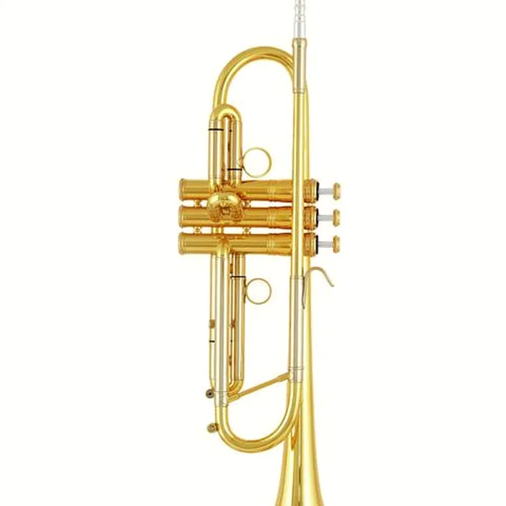 Avis & Test : Kühnl & Hoyer Fantastic Bb-Trumpet 106 11