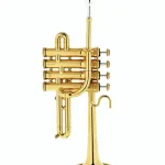 Avis, Test : Kühnl & Hoyer Malte Burba Piccolo Trumpet