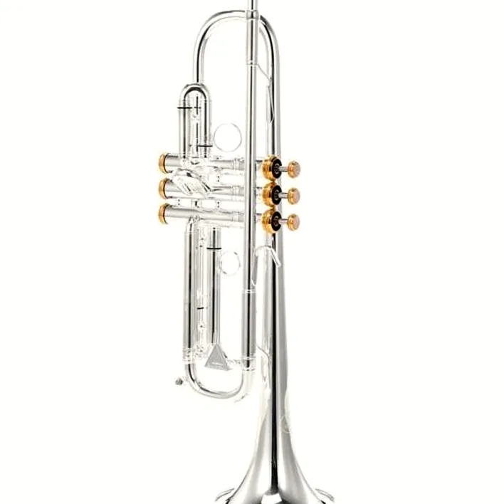Avis & Test : Kühnl & Hoyer Spirit MAW Bb-Trumpet silver