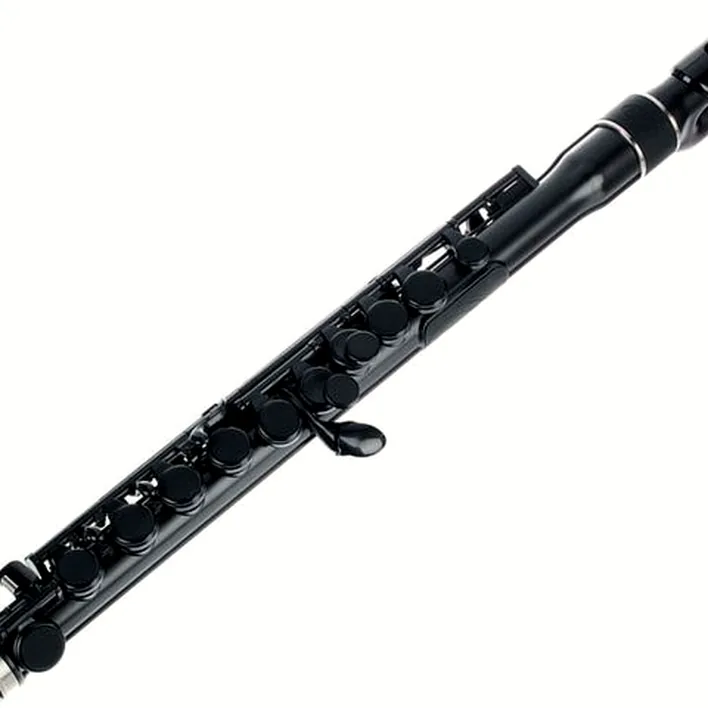 Avis, Test : Nuvo jFlute 2.0 black-black