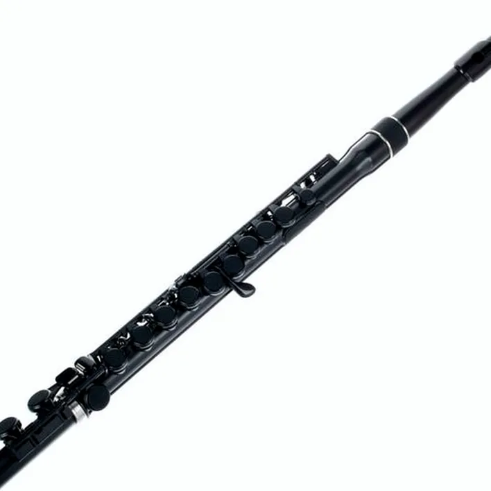 Test & Avis de la flûte traversière Nuvo Student Flute 2.0 black