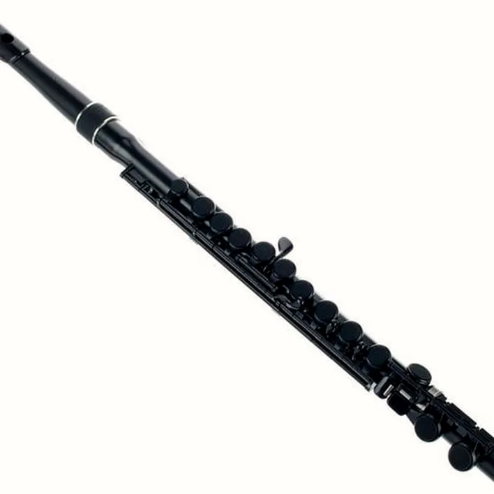 Test & Avis de la flûte traversière Nuvo Student Flute 2.0 black
