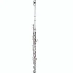 La flûte traversière Pearl Flutes Quantz B505RBE-HC Flute Test et Avis