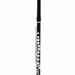 Avis, Test flûte traversière Philipp Hammig 658/2 Wooden Flute