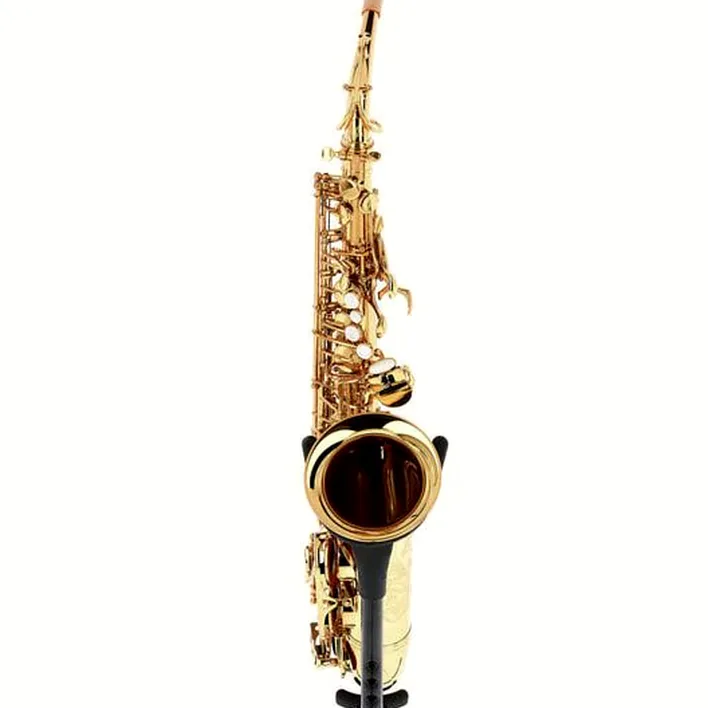 Le saxophone Forestone GX Gold Lacquered Alto Sax : Avis, Test, Comparatif