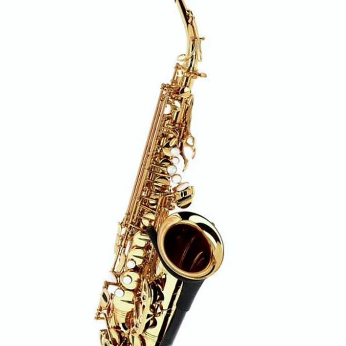 Le saxophone Forestone GX Gold Lacquered Alto Sax : Avis, Test, Comparatif