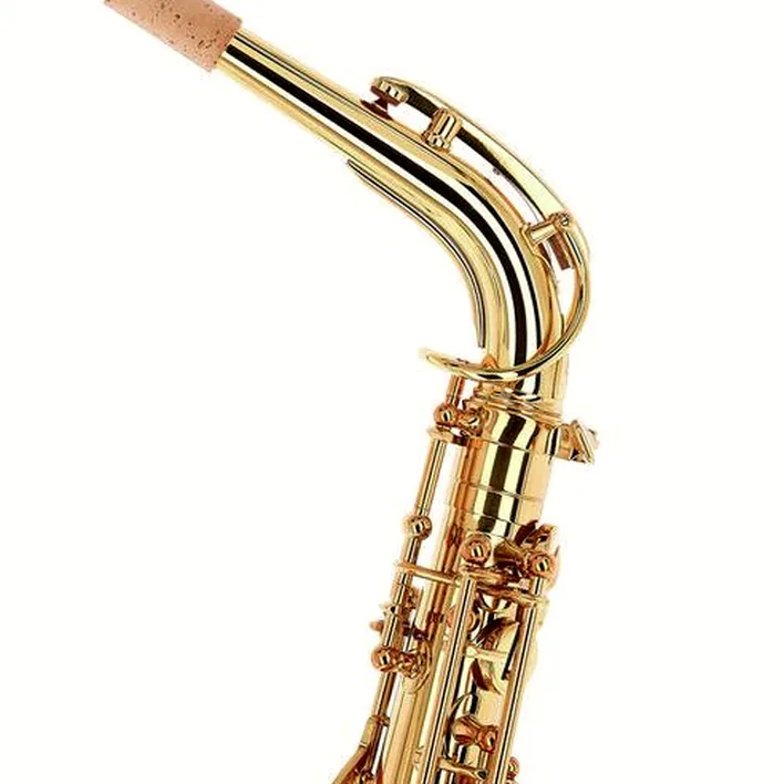 Le saxophone Forestone GX Gold Lacquered Alto Sax : Avis, Test, Comparatif