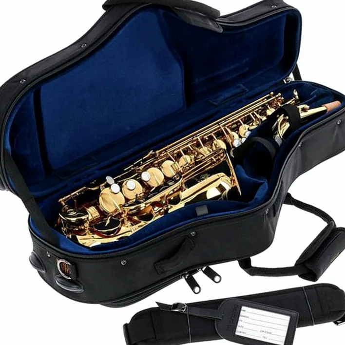Le saxophone Forestone GX Gold Lacquered Alto Sax : Avis, Test, Comparatif