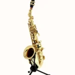 Saxophone Thomann TCS-350 Curved Soprano Sax / Test & Avis