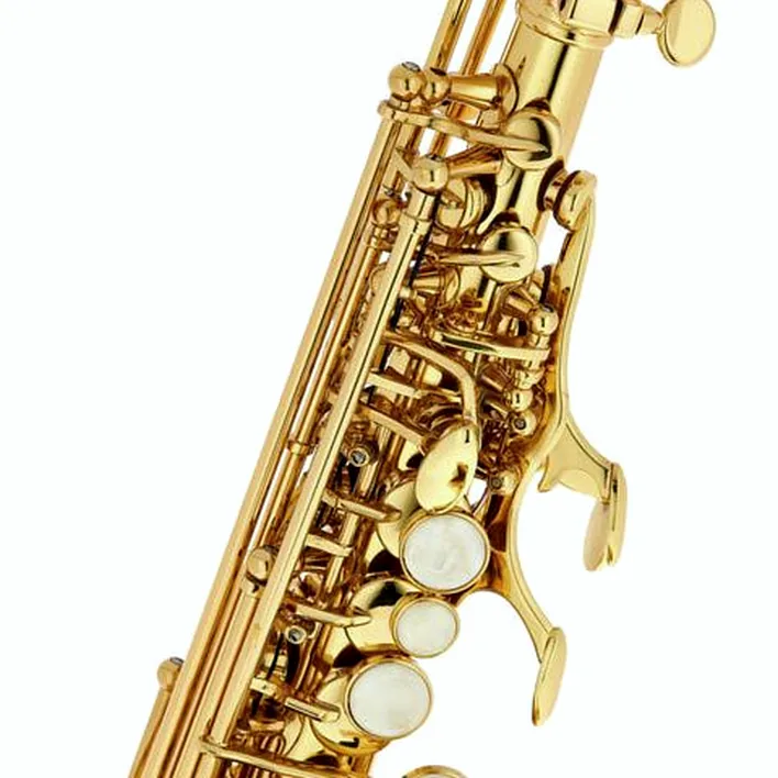 Saxophone Thomann TCS-350 Curved Soprano Sax / Test & Avis