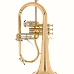Bugle Schagerl « AGLAEA » Bb- Flugelhorn L – Comparatif, Avis & Test