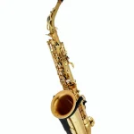 Le saxophone Selmer SE-A2M Matt SA80 II Alto Sax – Avis, Comparatif et Test