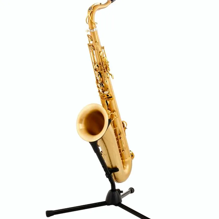 Test et Avis : Selmer Supreme Tenor Sax SE-TSUM