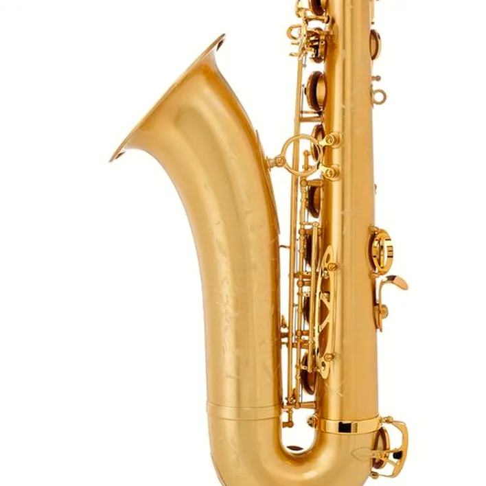 Test et Avis : Selmer Supreme Tenor Sax SE-TSUM