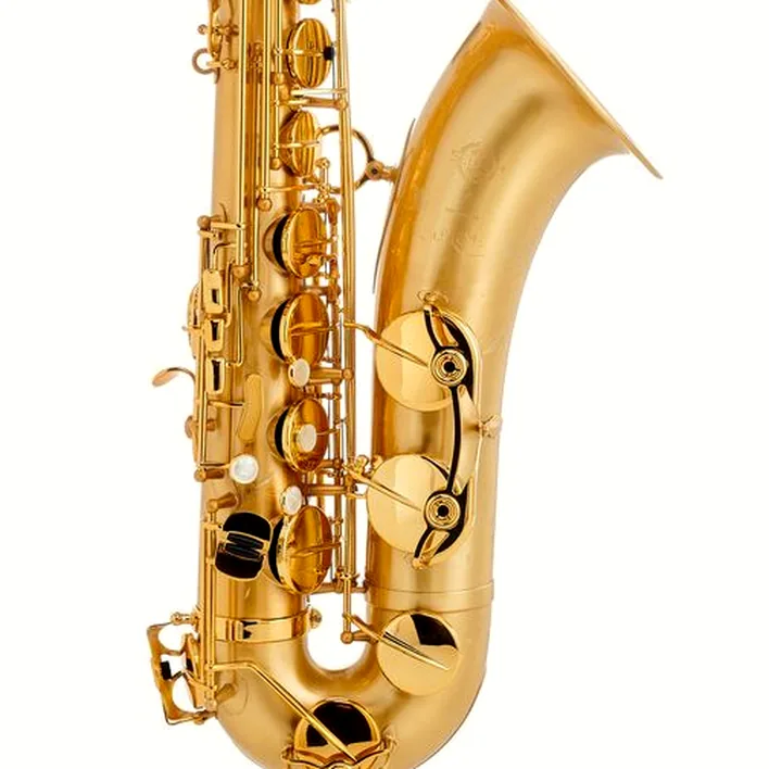 Test et Avis : Selmer Supreme Tenor Sax SE-TSUM