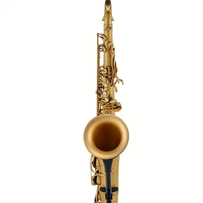 Le saxophone Selmer Supreme Tenor Sax SE-TSUP Comparatif, Avis, Test