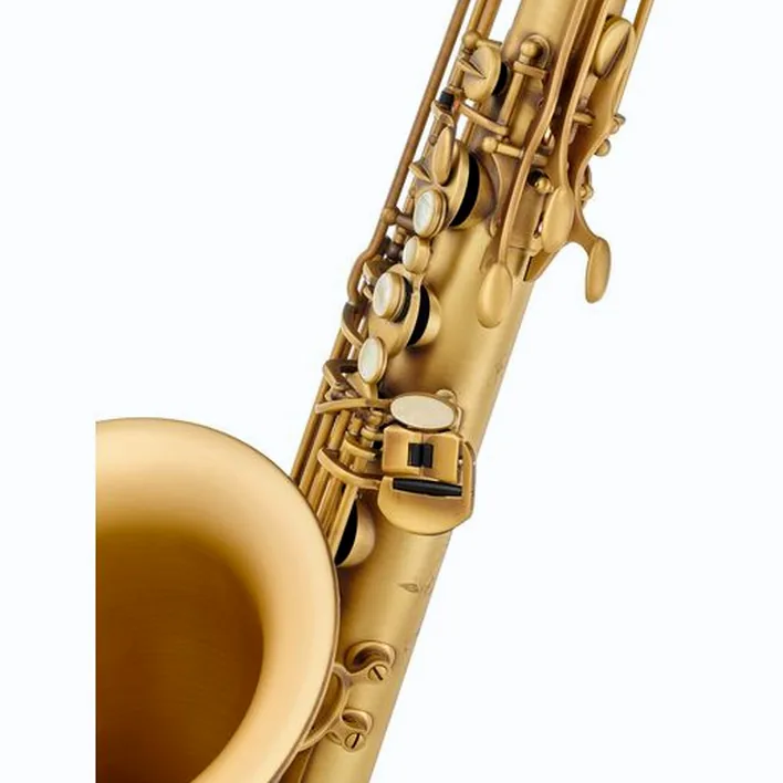 Le saxophone Selmer Supreme Tenor Sax SE-TSUP Comparatif, Avis, Test