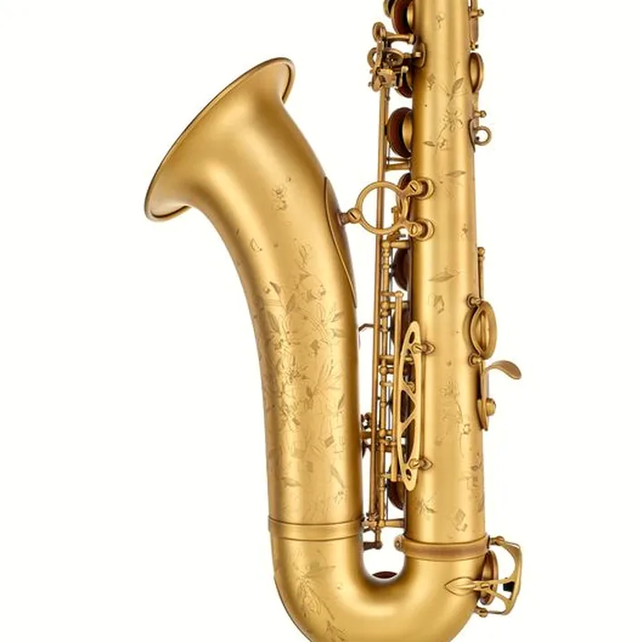 Le saxophone Selmer Supreme Tenor Sax SE-TSUP Comparatif, Avis, Test