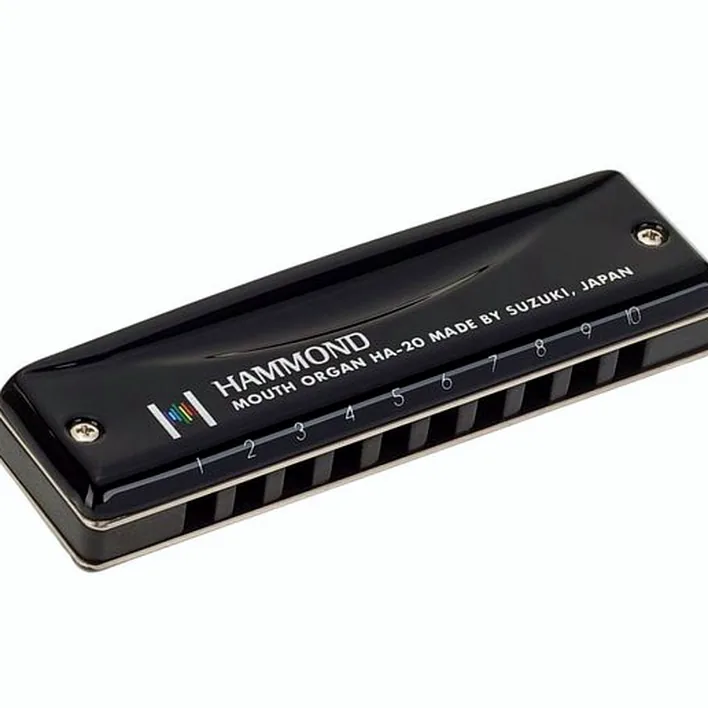 Avis, Test : Suzuki HA-20 Hammond Low F