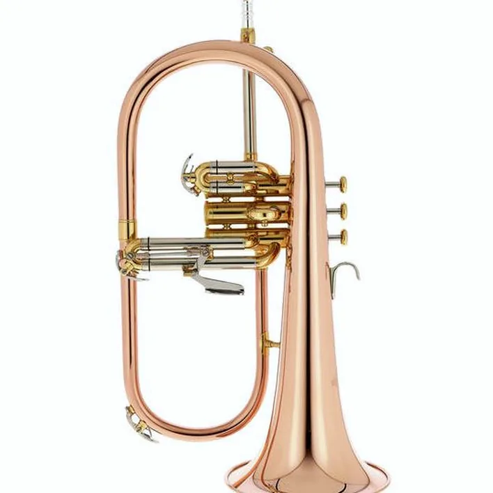 Le bugle Thomann FH 600 G Bb-Flugelhorn : Avis, Test, Comparatif