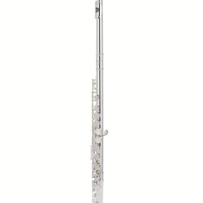 Test et Avis : Thomann FL-200 Flute