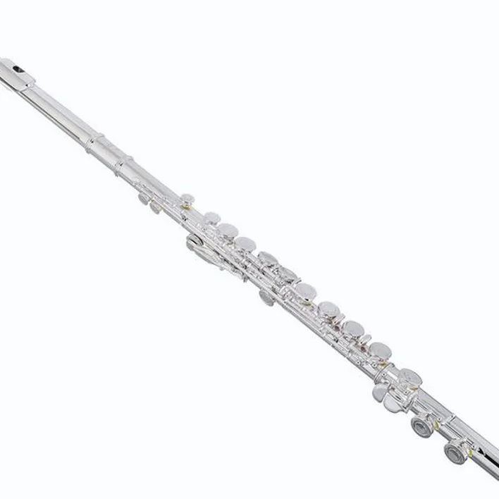 Test et Avis : Thomann FL-200 Flute