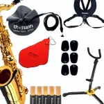 Avis et Test saxophone Thomann Little Bee Kids Saxophone Set