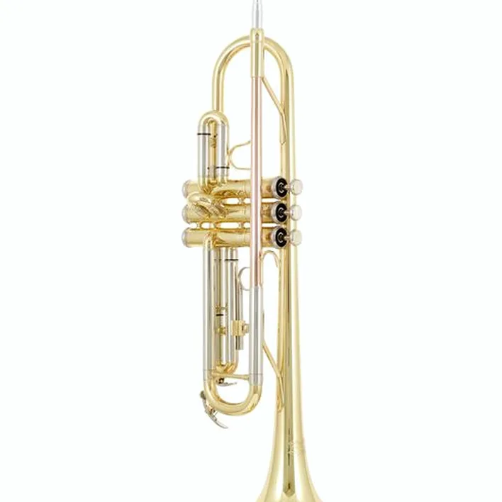 Avis, Test : Thomann TR 200 Bb-Trumpet Set 2