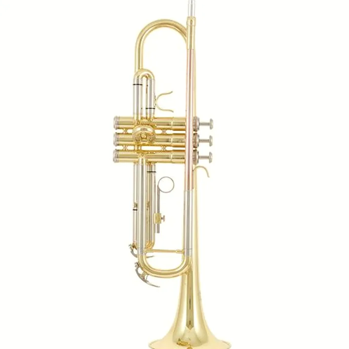 Avis, Test : Thomann TR 200 Bb-Trumpet Set 2