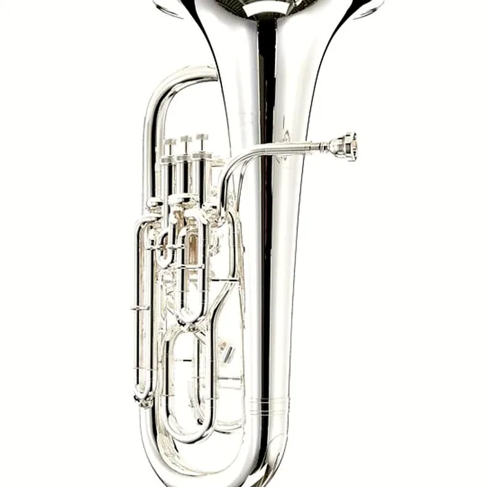 Avis & Test : Willson 2950 TA-UK Bb-Euphonium