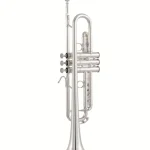 Bach 17043GYR Bb-Trumpet Test & Avis