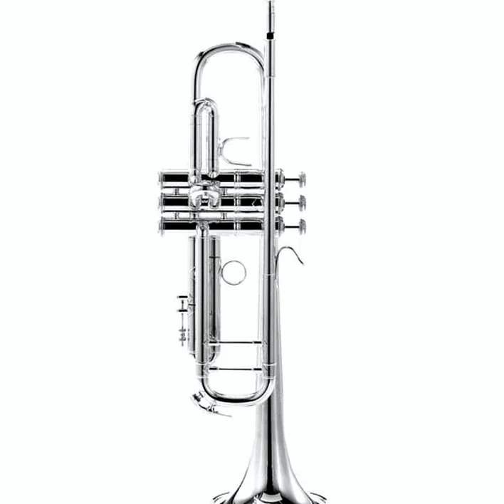 Bach 18072S Bb-Trumpet : Comparatif, Avis, Test