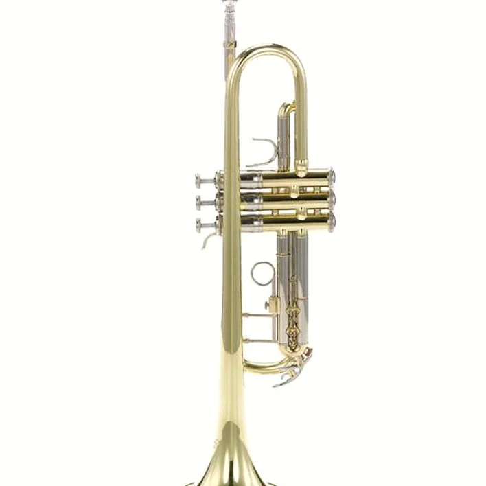 Bach TR-501 Student , Test, Avis