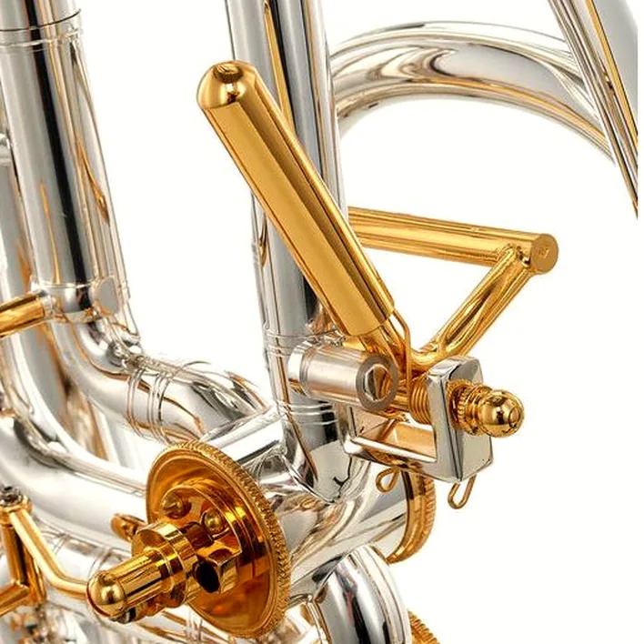 Baryton Wagnérien Miraphone 54L 1102 AE30 Baritone , Avis et Test