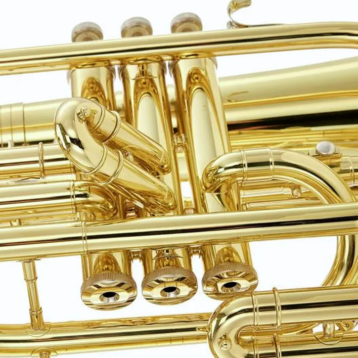 Baryton Wagnérien Thomann MBH-303 L Baritone / Test & Avis
