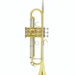 B&S BS210-1-0 Prodige Bb- Trumpet , Comparatif, Avis, Test