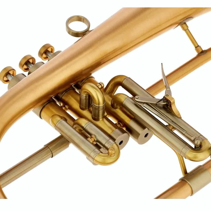 Le bugle Adams F2 GM Selected 055 170 BL , Comparatif, Avis & Test