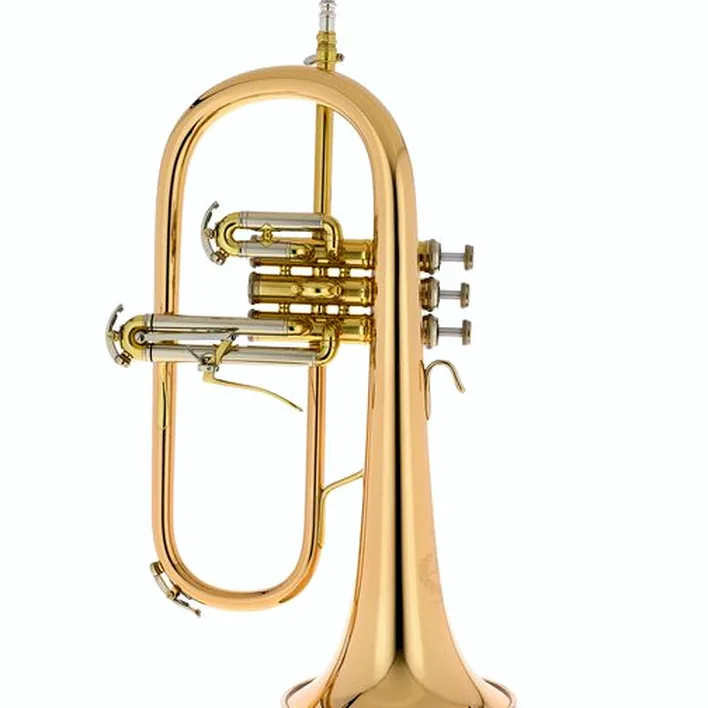 Avis, Test du bugle B&S 3145G-L Challenger I