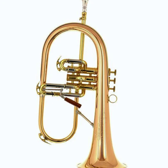 Avis et Test bugle C.G.Conn Vintage One Flugelhorn