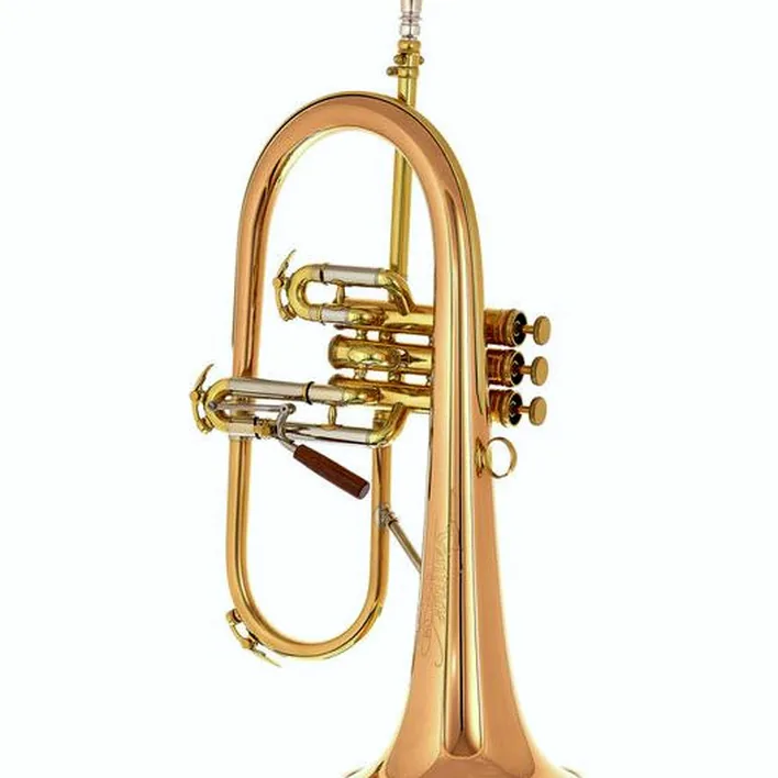 Avis et Test bugle C.G.Conn Vintage One Flugelhorn