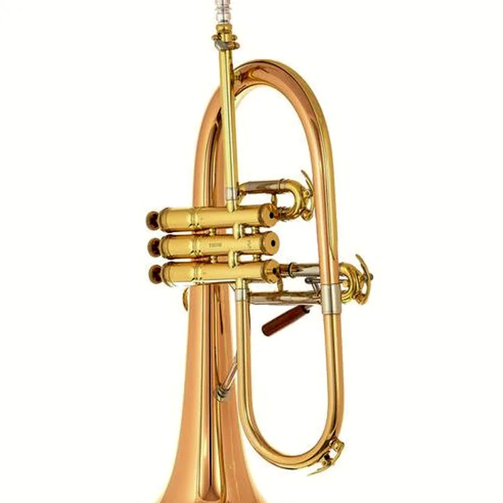 Avis et Test bugle C.G.Conn Vintage One Flugelhorn