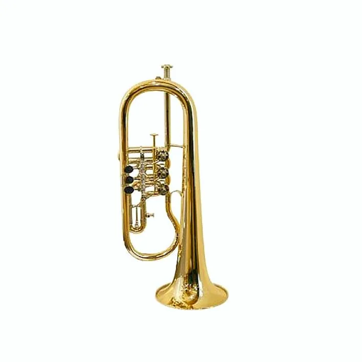 Le bugle Gerd Dowids BZ-Series Bb-Flugelhorn G88 GP – Avis, Comparatif & Test